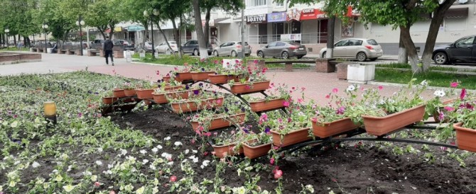 Йошкар-Олу в этом году украсит более 400 тысяч цветов