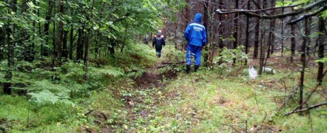 Спасатели Марий Эл вывели пенсионерку из леса
