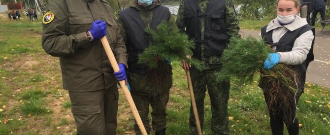 Сотрудники следственного управления СКР по Марий Эл посадили деревья