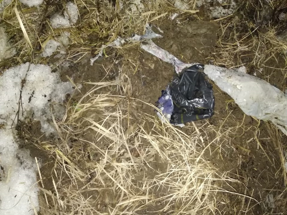 В пригороде Йошкар-Олы нашли тело младенца